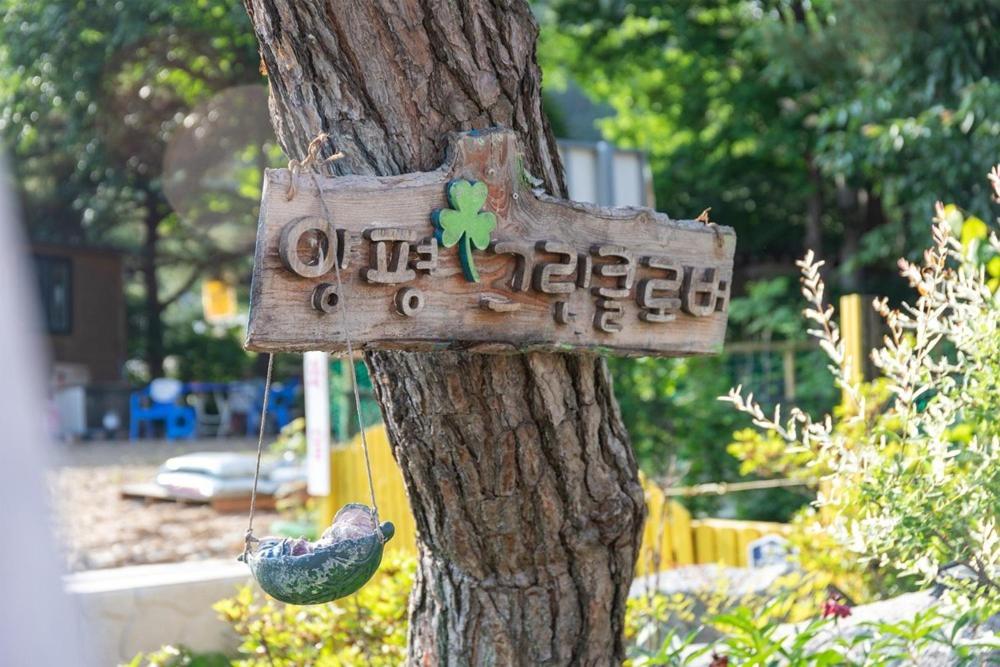 Yangpyeong Green Clover image