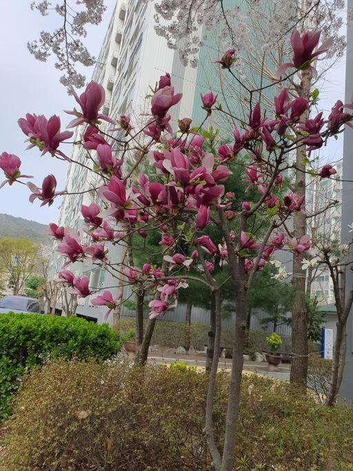 Daegu Hotel - Cozy accomodation near chilgok gyeongdae hospital accommodation view