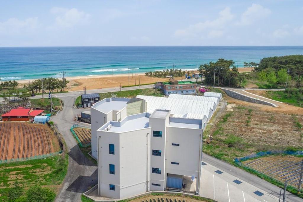 Gangneung Hotel - M Spa Pension accommodation view