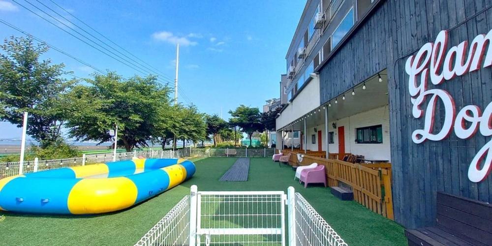 Incheon Hotel - Youngheungdo Glamdog Pet Friendly accommodation view