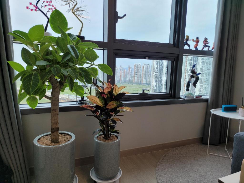 Songdo View/33rd Floor/Sea/Lake/Pool/Full Option image