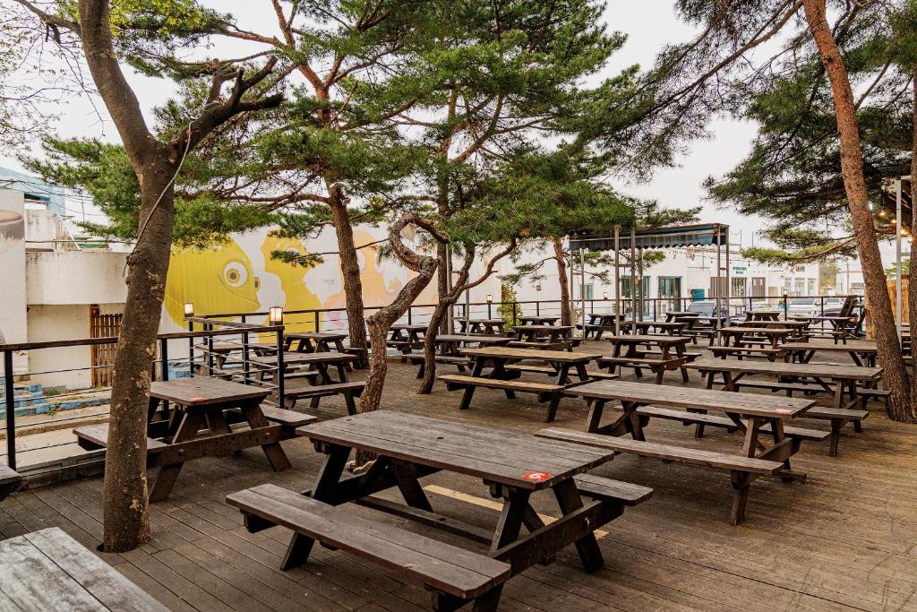 Ocean to You Resort Sokcho Seorak Beach Hotel and Condo image