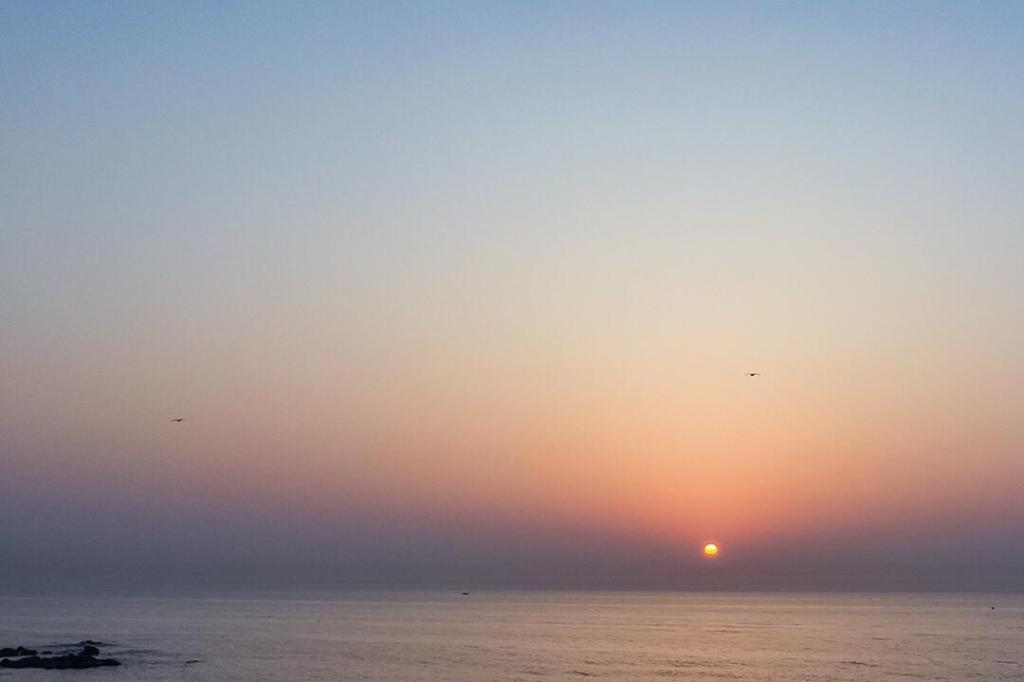 Pohang Uni’s Sea Caravan Guryongpo Branch image